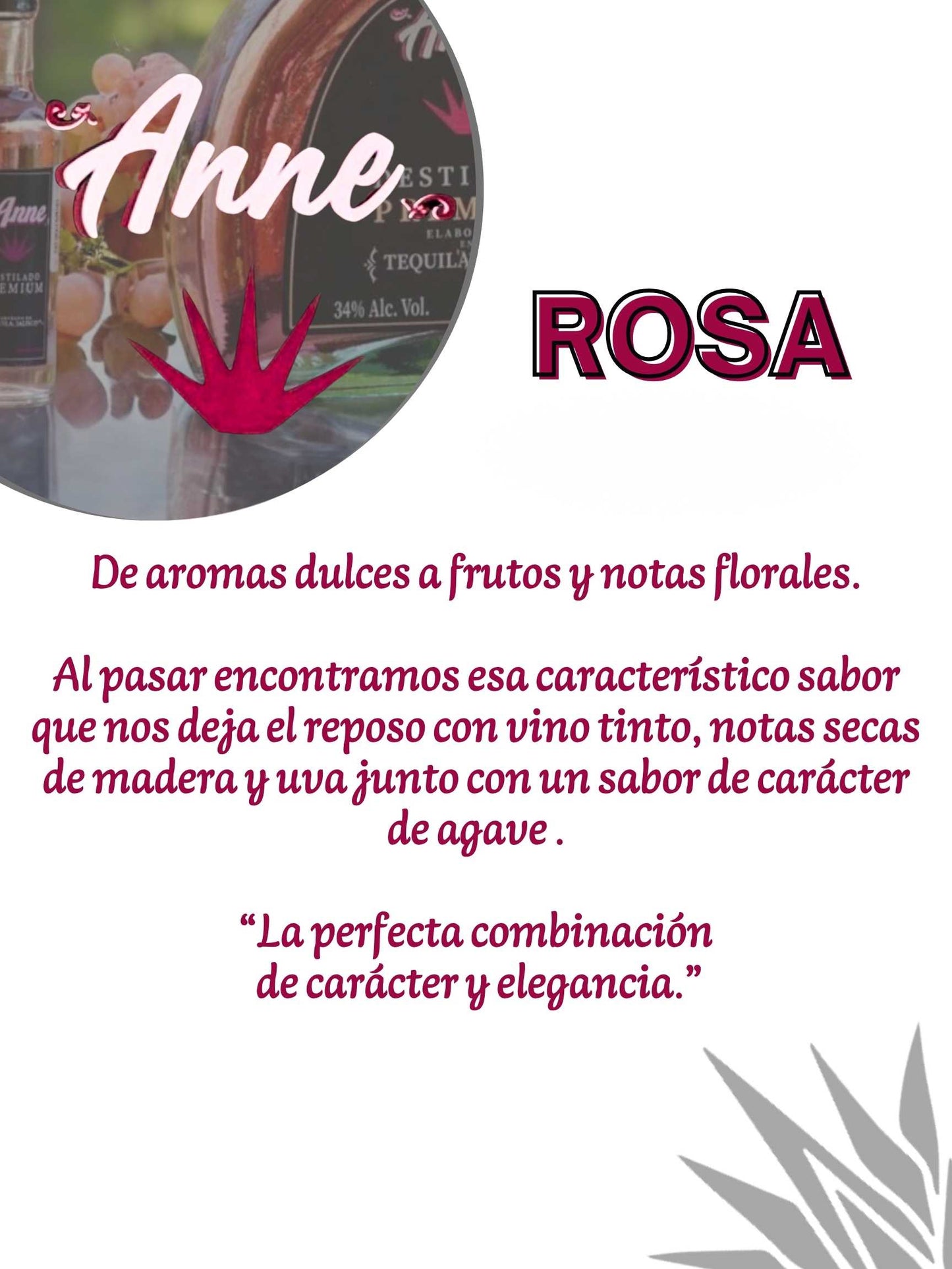 ANNE ROSA