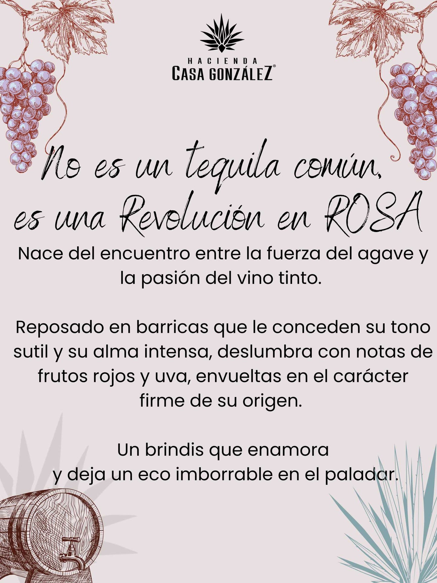 ANNE ROSA